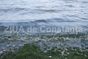 Cat plateste ABADL pentru depozitarea deseurilor nepericuloase (document) 