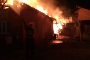 25 DE PĂSĂRI ARSE ÎN INCENDIUL DE LA ŢIŢEŞTI