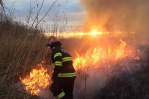 Tulcea: Hectare intregi de vegetatie uscata si stuf, cuprinse de flacari