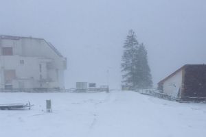 PEȘTERA – PADINA: Ninsoare şi viscol cu vânt la rafală de 90 km/h