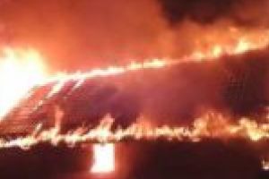 Minori şi bunica lor, evacuaţi la timp din calea flăcărilor!