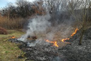 Două incendii de vegetaţie uscată în judeţul Botoşani, în mai puţin de o oră