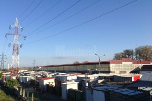 Zvonuri privind închiderea Bazarului, lansate înaintea campaniei electorale