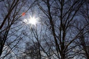 Cerul este mai mult senin, iar maximele ating 9 grade Celsius