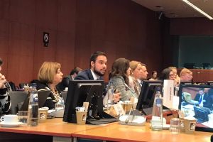 Delegatul de Tineret al României la ONU a participat, în premieră, la întâlnirea Grupului de lucru pentru ONU al Consiliului Uniunii Europene