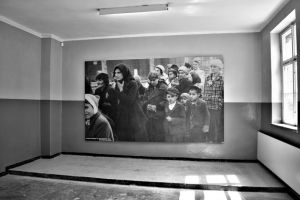 Cum vede o liceancă din Oradea lagărul de la Auschwitz. Fotografiile elevei vor fi expuse la Sinagoga Sion (FOTO)
