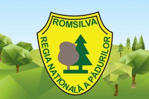 Comunicat de presa privind aplicarea Statutului personalului silvic