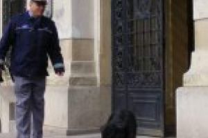 Gerul Bobotezei Bugetare: Primăria Craiova îngheaţă salariile