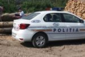 Trei depozite ilegale de lemn, descoperite de poliţiştii din Caraş-Severin