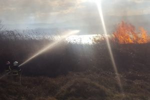 Incendiu cu risc de propagare in judetul Tulcea (galerie foto + video)