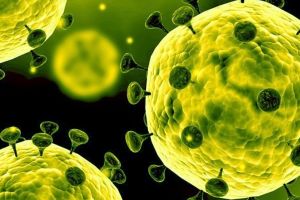 DSP Bihor: Informaţii esenţiale despre coronavirus pentru bihoreni şi medicii din judeţ 