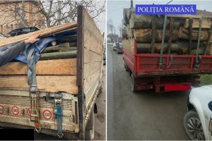 FOTO. Transport ilegal de lemn, oprit de poliţişti în judeţ. S-a lăsat cu amenzi