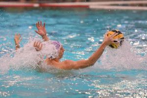 CSM Oradea are doi reprezentanţi la Campionatul European de polo de la Budapesta