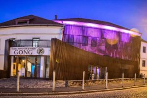 DSP, solicitat să dezinfecteze sălile de spectacol la Teatrul Gong – „Nu are rost!”