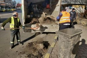 Campanie de curăţenie stradală, demarată în plină iarnă