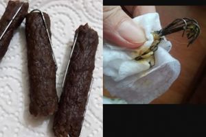 FOTO. Cruzime fără margini. Cârnaţi cu cuie, împrăştiaţi pe străzi pentru a omorâ câini şi pisici