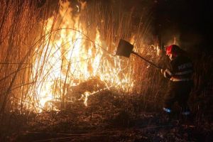 VIDEO: 5 hectare de vegetaţie uscată au ars la Răduleşti