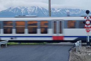 Cai loviţi de un tren care circula de la Sibiu la Bucureşti – Circulaţia feroviară blocată pe Magistrala 200