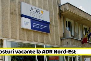 NEAMȚ: 10 posturi vacante la ADR Nord-Est
