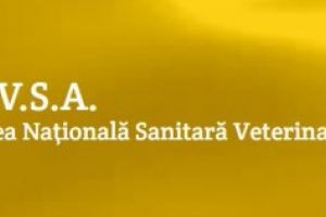 Filaret Bradatan, numit vicepresedinte al Autoritatii Nationale Sanitare Veterinare si pentru Siguranta Alimentelor