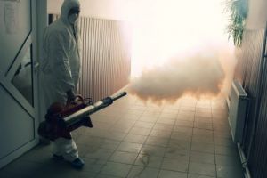 Recomandări pentru unităţile de învăţământ în care se fac deratizări