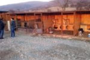 Primii 50 de câini au ajuns la adăpostul din Moldova Nouă