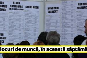 NEAMȚ: 117 NOI locuri de muncă, comunicate în această săptămână
