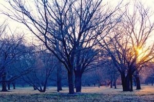 Cum ne afectează o iarnă fără zăpadă – Ce spun psihologii