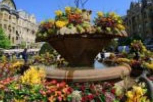 Încep înscrierile pentru o nouă ediţie a Festivalului Timfloralis, unul dintre cele mai colorate evenimente ale primăverii!