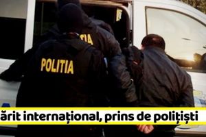 NEAMȚ: Nemţean urmărit internaţional pentru omor, prins de poliţişti
