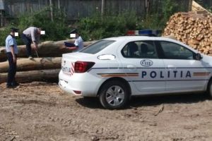 Amenzi de peste un milion de lei pentru infracţiuni silvice