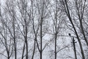 METEO: Săptămâna debutează cu vreme de toamnă