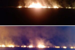 Incendiu in judetul Tulcea. In ce zona nu se poate interveni cu autospecialele de stingere (galerie foto+video)  