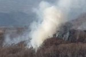 Parcul Naţional Domogled-Valea Cernei, din nou în flăcări!