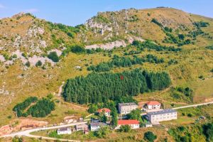 Scandal la o primărie din judeţul Alba: secretara acuză că a fost bătută de primar, funcţionarii neagă şi acuză la rândul lor