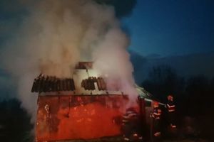 A DAT FOC LA BURUIENI ȘI A PLECAT