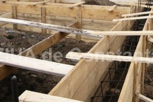 O firma din Bucuresti vrea sa construiasca un centru comercial la Cobadin 