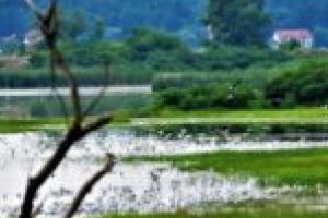 „Statul Român, frână împotriva dezvoltării Clisurii Dunării! În România, omul trebuie să devină animal ca să fie băgat în seamă!”