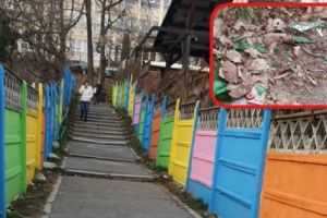 AU BĂUT ŞI AU SPART STICLELE LÂNGĂ ŞCOALĂ