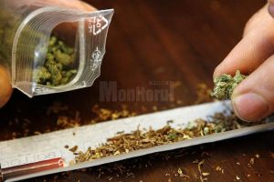 Etnobotanicele noi şi culturile de canabis la domiciliu, marile provocări pentru combaterea ...