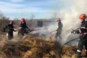 PIROMAN LĂSAT ÎN LIBERTATE