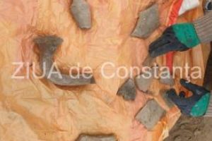 Pamantul excavat din situl arheologic de langa “Lupoaica care contine fragmente ceramice, dus pe un camp din afara orasului (video)