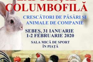 31 ianuarie – 2 februarie 2020: Expoziţie columbofilă la Sebeş, în incinta Liceul cu Program Sportiv „Florin Fleşeriu”. Program
