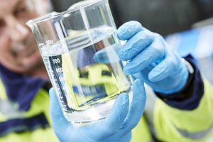 WESSLING România este evaluată de către Coface, ca fiind Excellent Small & Medium Enterprises