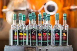 Peste 20 de medalii şi patru titluri de campion, obţinute de o distilerie din Sfântu Gheorghe la un concurs internaţional