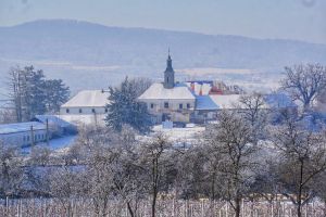 Încet, dar sigur, Castelul Teleki de la Posmuş îşi redobândeşte strălucirea