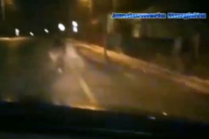 VIDEO: Urs îndepărtat de către jandarmi în afara municipiului Gheorgheni