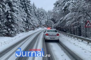 Cod galben de ninsori şi viscol la munte