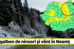 METEO: Cod galben de ninsori şi vânt în zona de munte a judeţului Neamţ