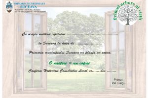 „Primul arbore al vieţii” – plantare de arbori pentru fiecare copil născut în Suceava